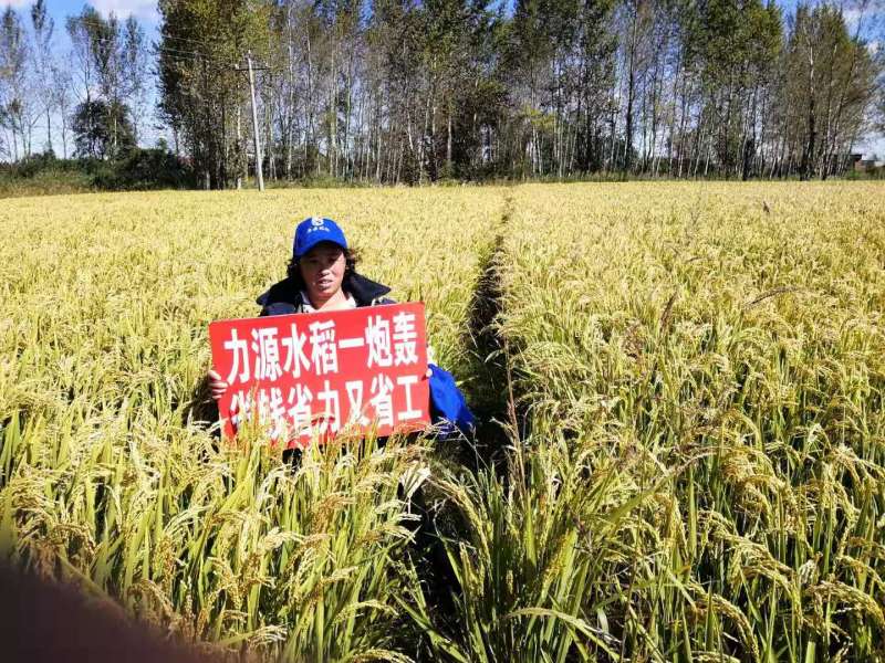 &#38886;&#24503;&#32593;&#31449;&#45;&#40;&#20013;&#22269;&#41;&#26377;&#38480;&#36131;&#20219;&#38886;&#24503;&#32593;&#31449;